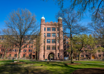 Yale University Online Admission Procedure: A Pathway to Academic Excellence