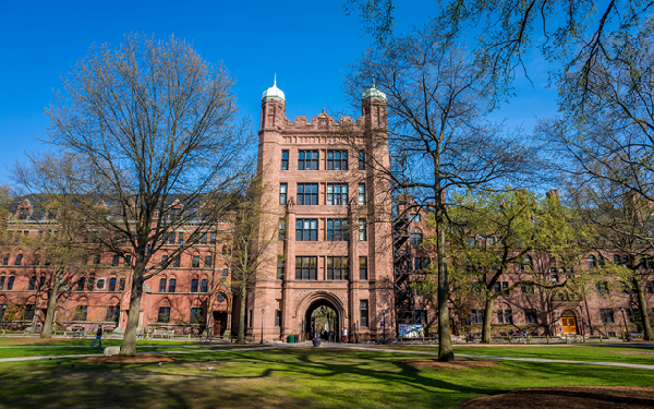Yale University Online Admission Procedure: A Pathway to Academic Excellence