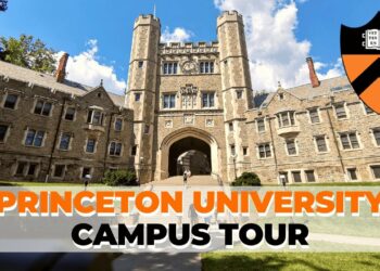 Princeton University Intellectual Pursuits and Online Admission Procedure